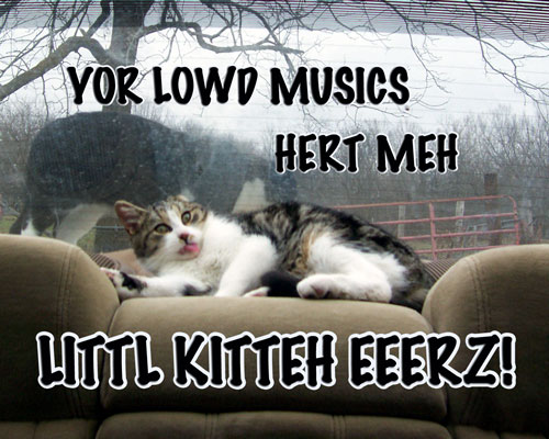 Random: Lowd Muzics